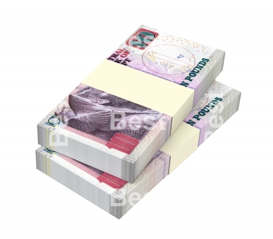 Egyptian pounds isolated on white with clipping path
