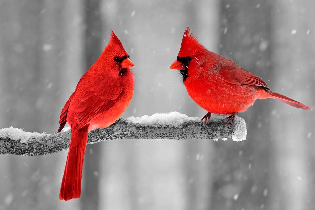 christmas holiday wall art 