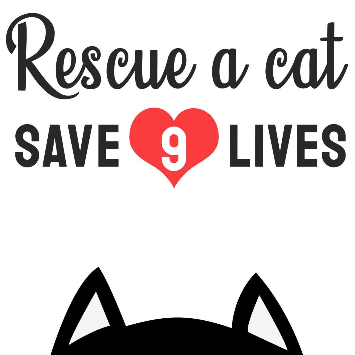 Animal Rights Quotes Wall Art