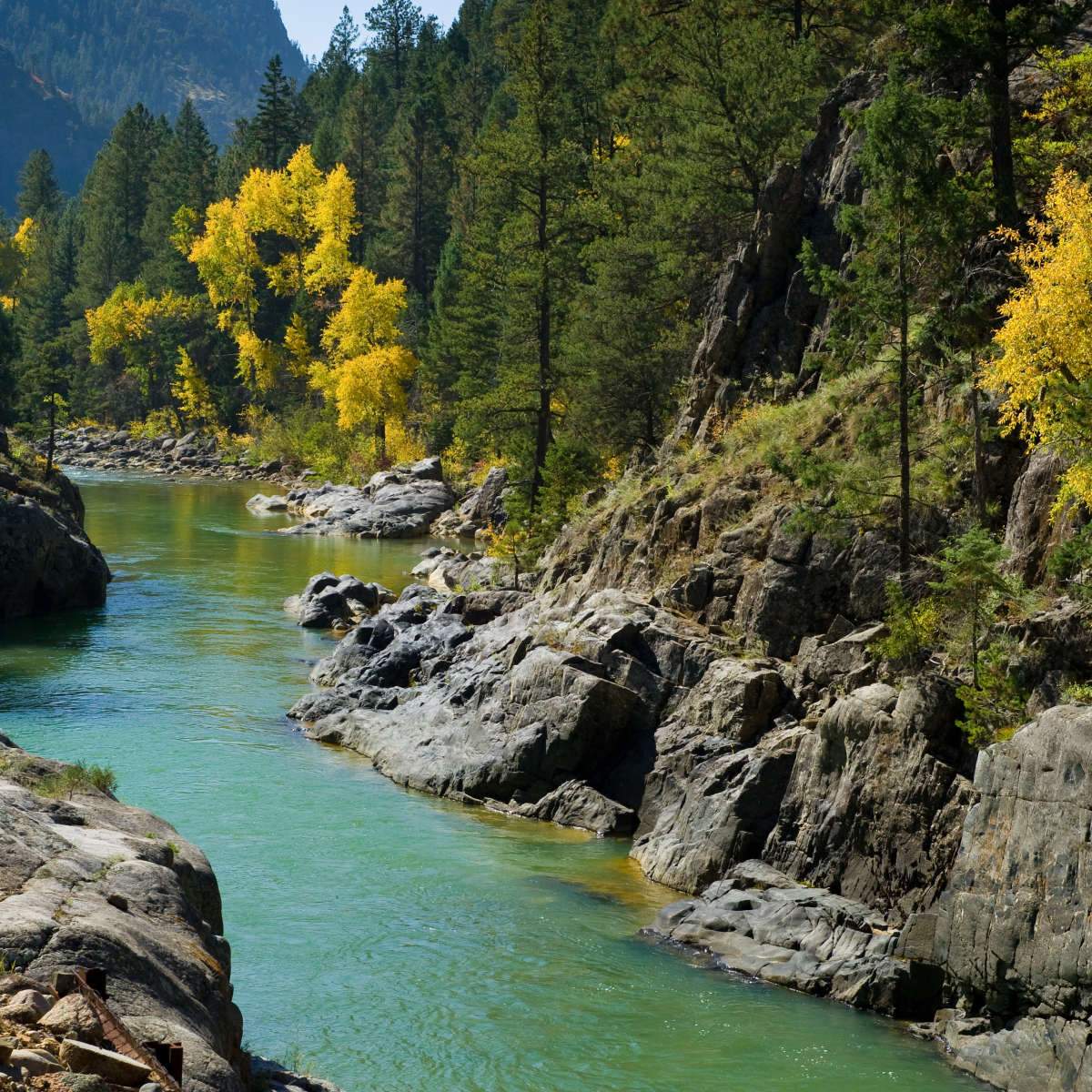 Animas River Wall Art