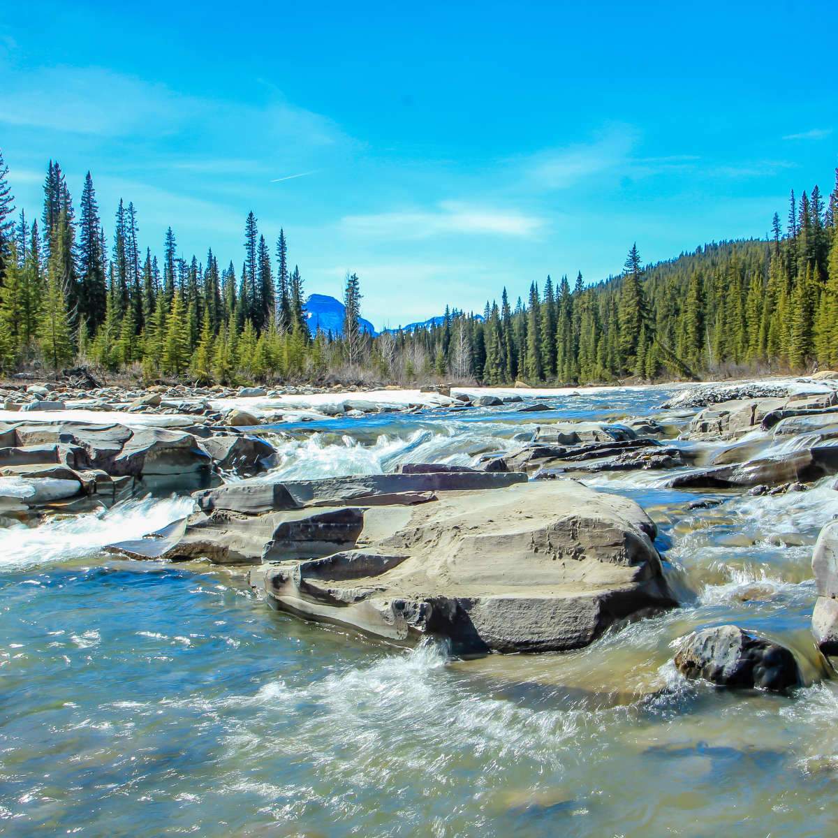 Bighorn River Wall Art