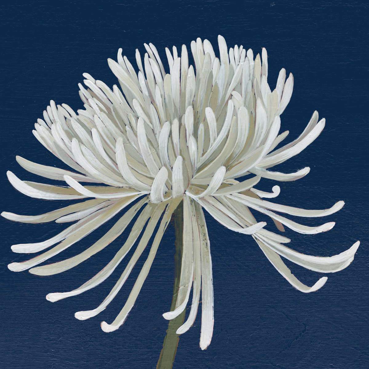 Chrysanthemum Wall Art