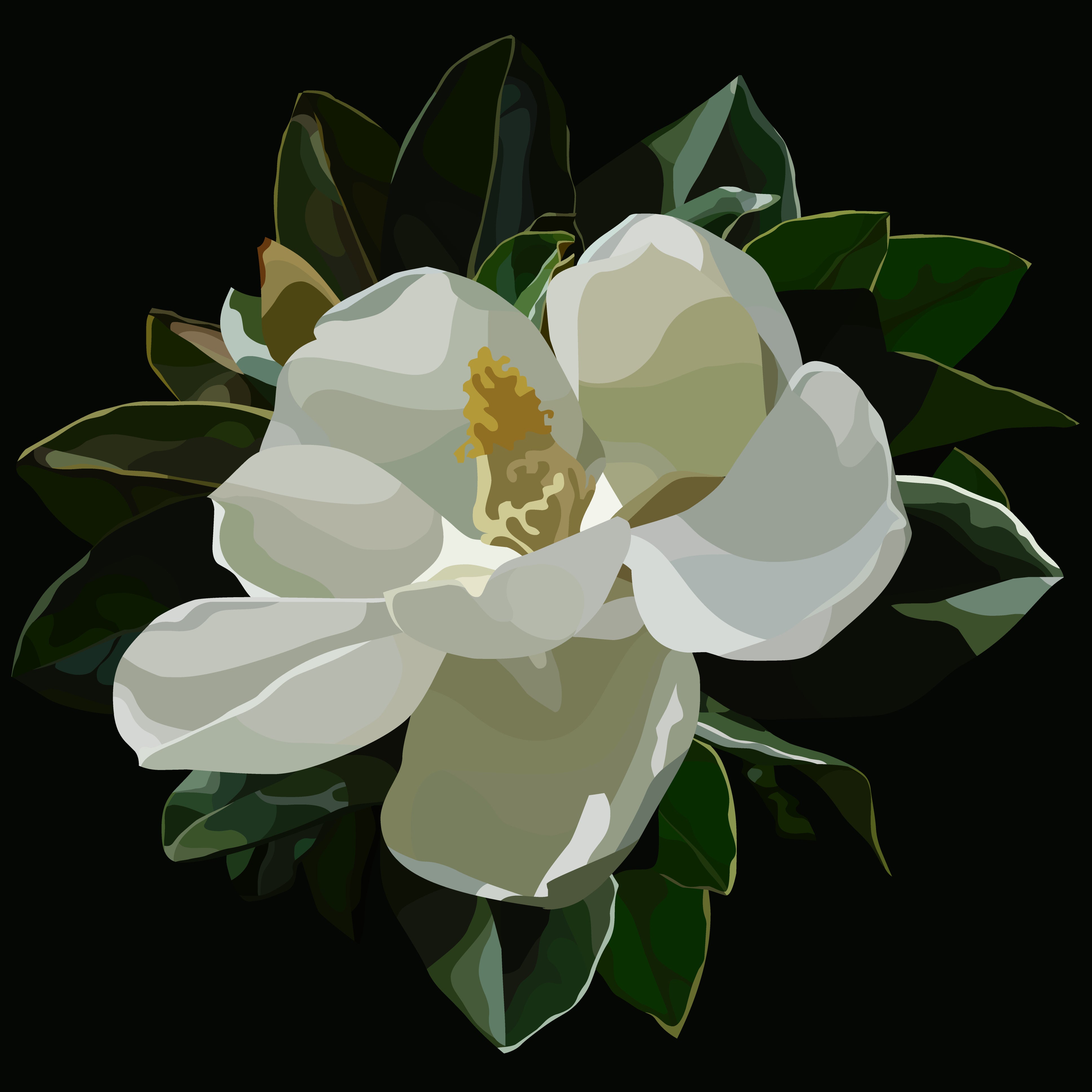 Magnolia Wall Art