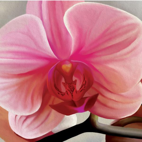 Orchid Wall Art