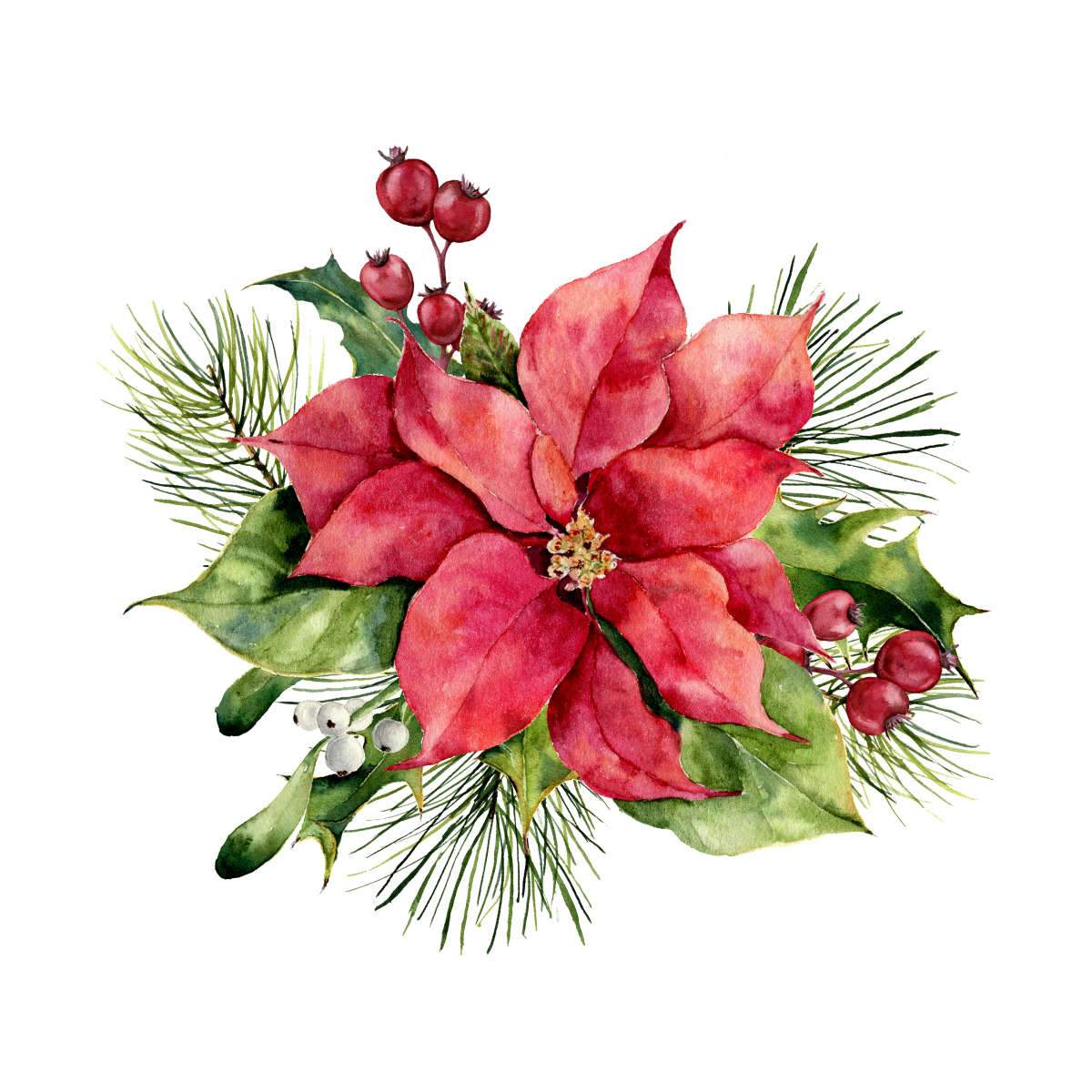 Poinsettias Wall Art