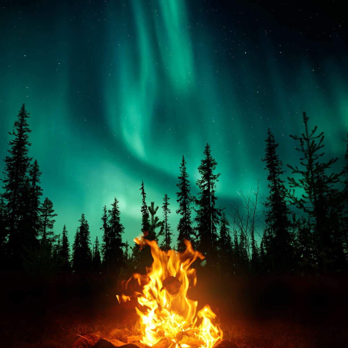 Polar Lights Wall Art