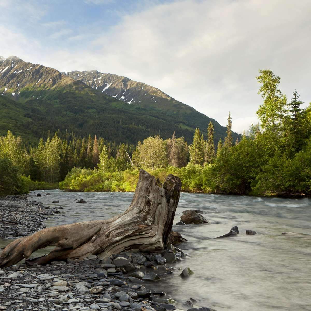 The Kenai River Wall Art