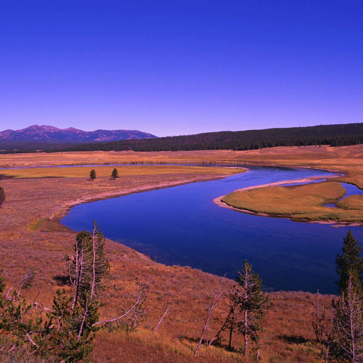 Yellowstone River Wall Art