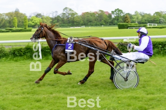 Horse race