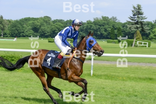 Horse race