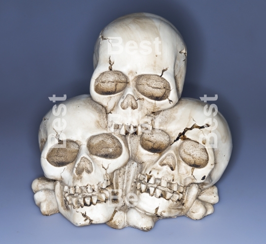 Old weathered human skull