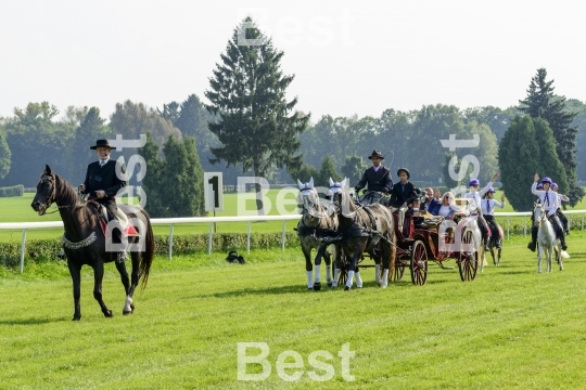 Race horses on the Partynice track in Wroclaw, Poland