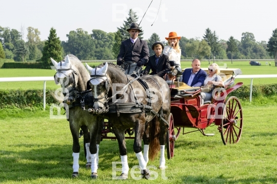 Race horses on the Partynice track in Wroclaw, Poland