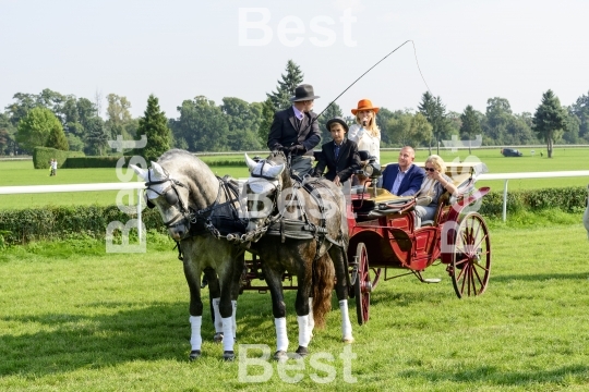 Race horses on the Partynice track in Wroclaw, Poland