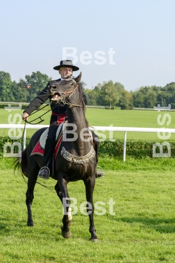 Race horses on the Partynice track in Wroclaw, Poland