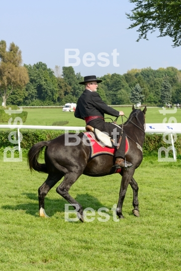 Race horses on the Partynice track in Wroclaw, Poland