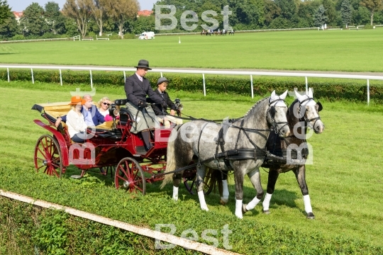 Race horses on the Partynice track in Wroclaw, Poland