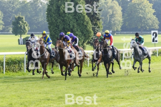 Horse race
