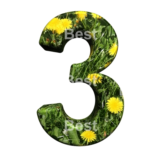 One digit from floral alphabet set, isolated on white.