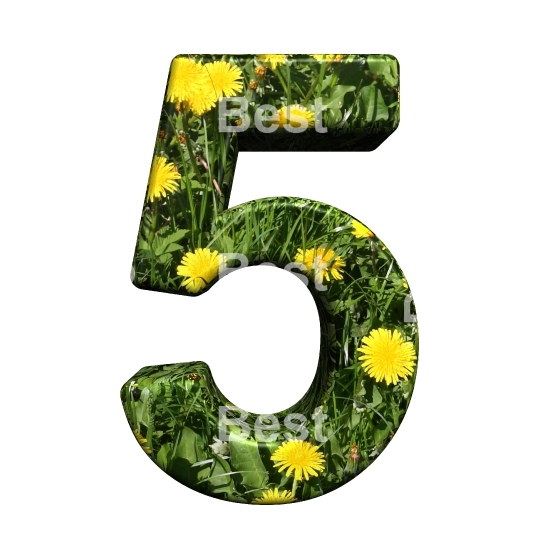 One digit from floral alphabet set, isolated on white.