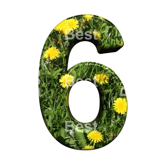 One digit from floral alphabet set, isolated on white.