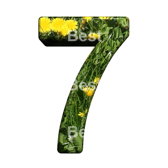 One digit from floral alphabet set, isolated on white.