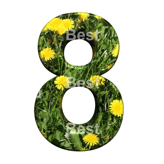 One digit from floral alphabet set, isolated on white.
