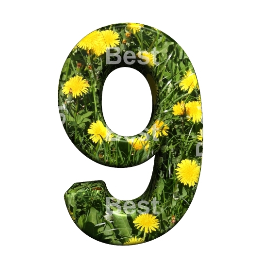 One digit from floral alphabet set, isolated on white.