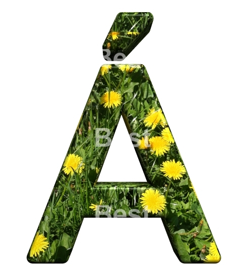 One letter from floral alphabet set, isolated on white.