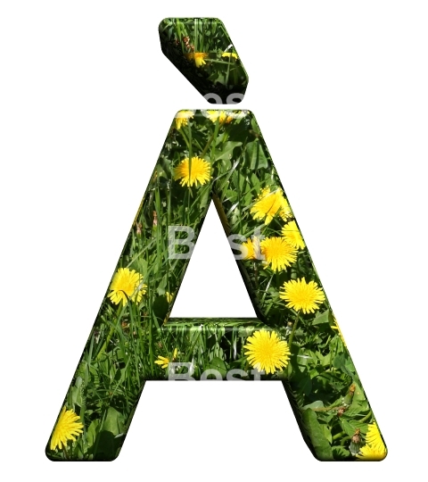 One letter from floral alphabet set, isolated on white.