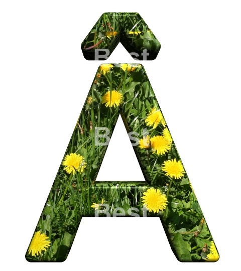 One letter from floral alphabet set, isolated on white.