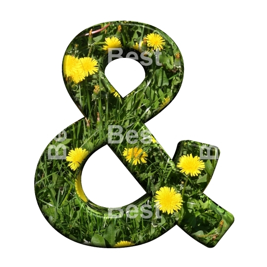 One letter from floral alphabet set, isolated on white.