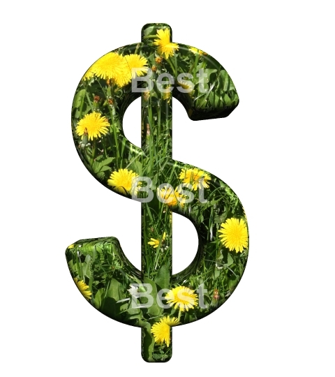 Dollar sign from floral alphabet set, isolated on white.