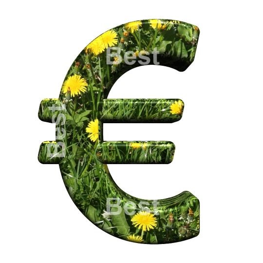 Euro sign from floral alphabet set, isolated on white.