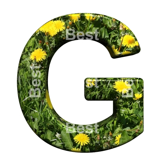 One letter from floral alphabet set, isolated on white.