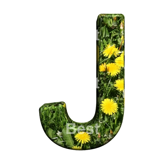 One letter from floral alphabet set, isolated on white.