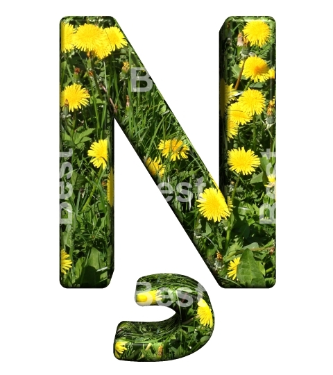 One letter from floral alphabet set, isolated on white.