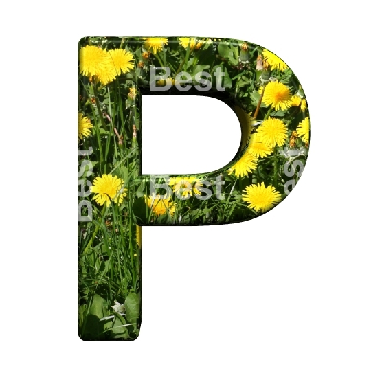 One letter from floral alphabet set, isolated on white.