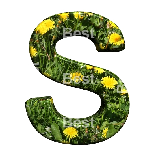 One letter from floral alphabet set, isolated on white.