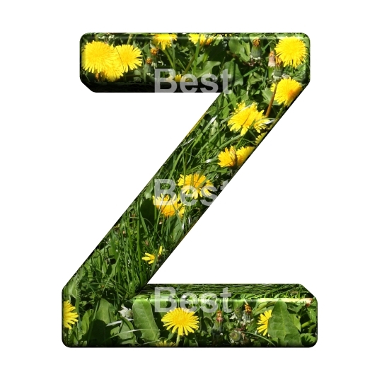 One letter from floral alphabet set, isolated on white.