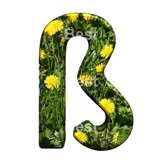 One letter from floral alphabet set, isolated on white.