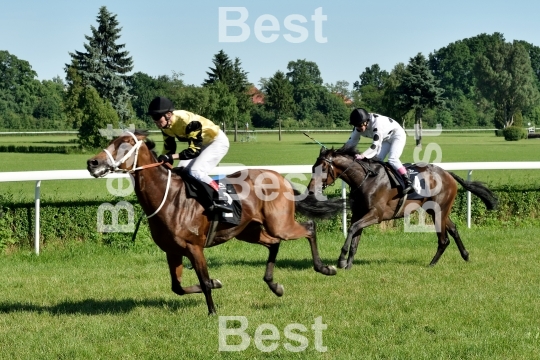  Horse race for the prize of the President of the City of Wroclaw on Juni 8, 2014