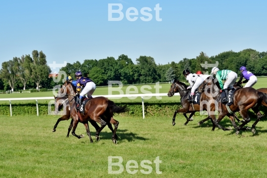  Horse race for the prize of the President of the City of Wroclaw on Juni 8, 2014