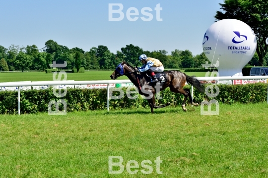  Horse race for the prize of the President of the City of Wroclaw on Juni 8, 2014