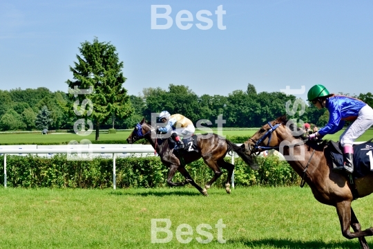  Horse race for the prize of the President of the City of Wroclaw on Juni 8, 2014