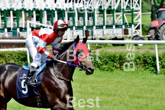  Horse race for the prize of the President of the City of Wroclaw on Juni 8, 2014