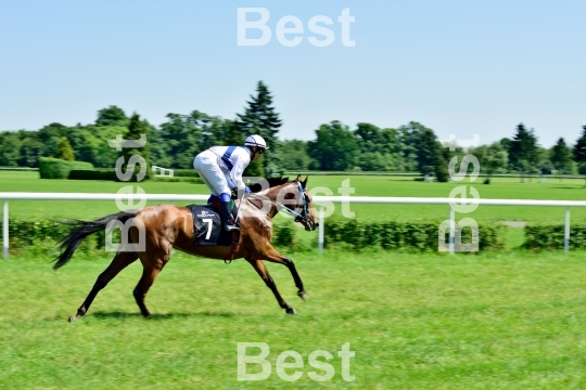  Horse race for the prize of the President of the City of Wroclaw on Juni 8, 2014