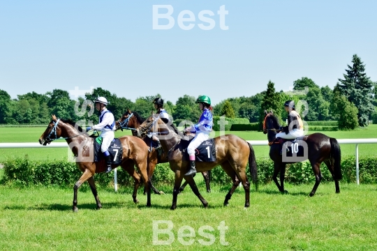  Horse race for the prize of the President of the City of Wroclaw on Juni 8, 2014