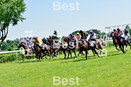  Horse race for the prize of the President of the City of Wroclaw on Juni 8, 2014