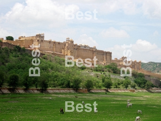 Amber Fort